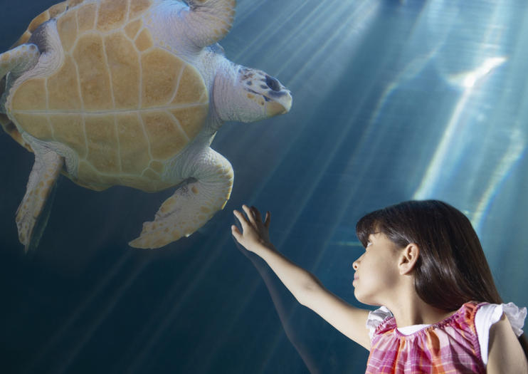 Shinagawa Aquarium